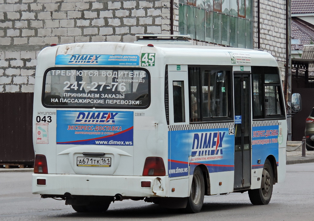 Ростовская область, Hyundai County SWB C08 (ТагАЗ) № 043