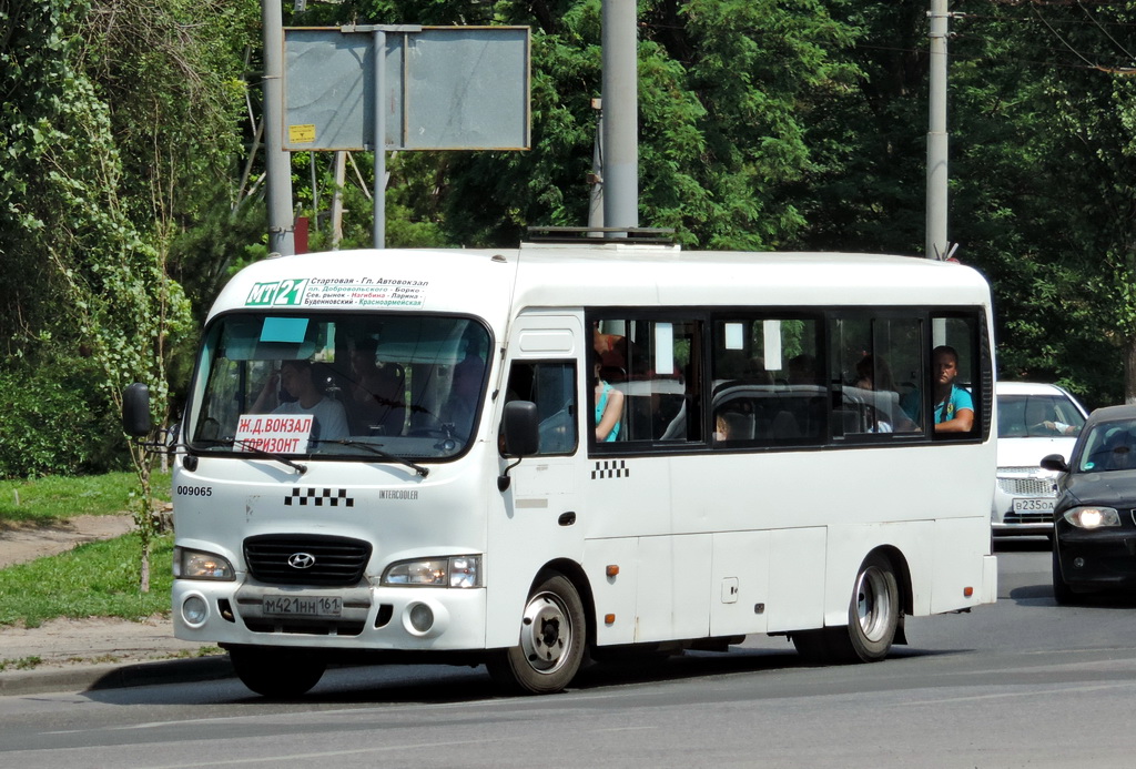 Ростовская область, Hyundai County LWB C09 (ТагАЗ) № 009065