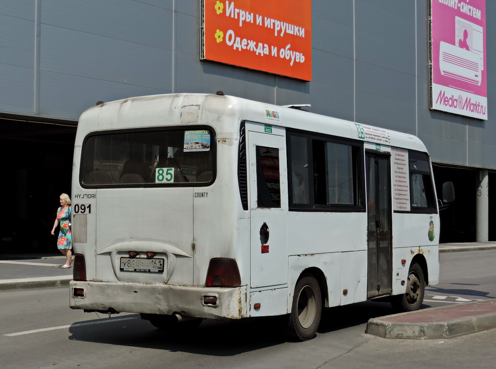 Ростовская область, Hyundai County SWB C08 (ТагАЗ) № 091