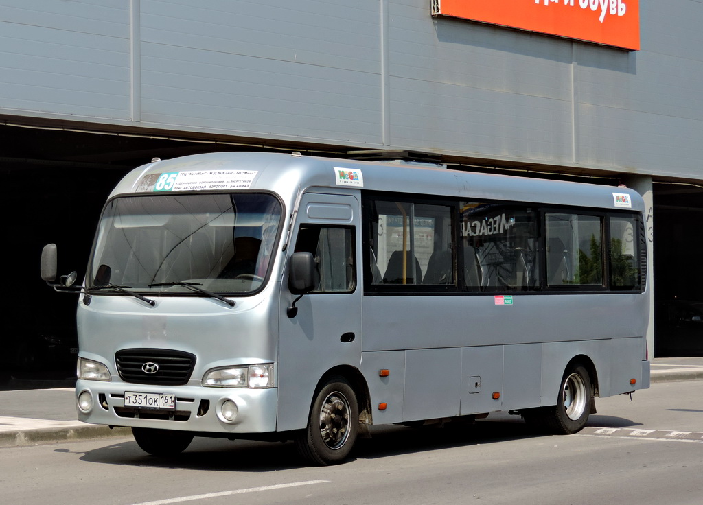 Ростовская область, Hyundai County LWB C11 (ТагАЗ) № 025