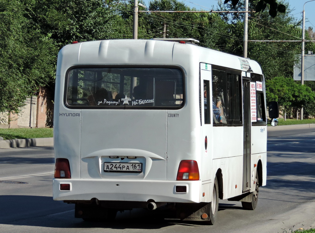 Ростовская область, Hyundai County LWB C09 (ТагАЗ) № А 244 РА 161