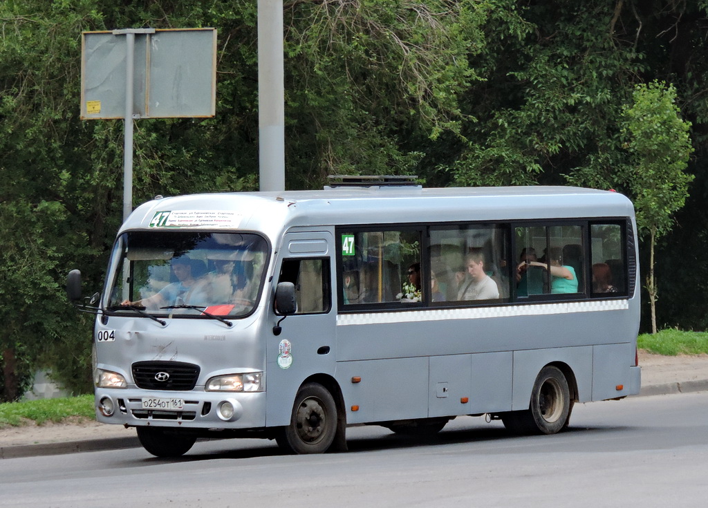 Ростовская область, Hyundai County LWB C11 (ТагАЗ) № 004