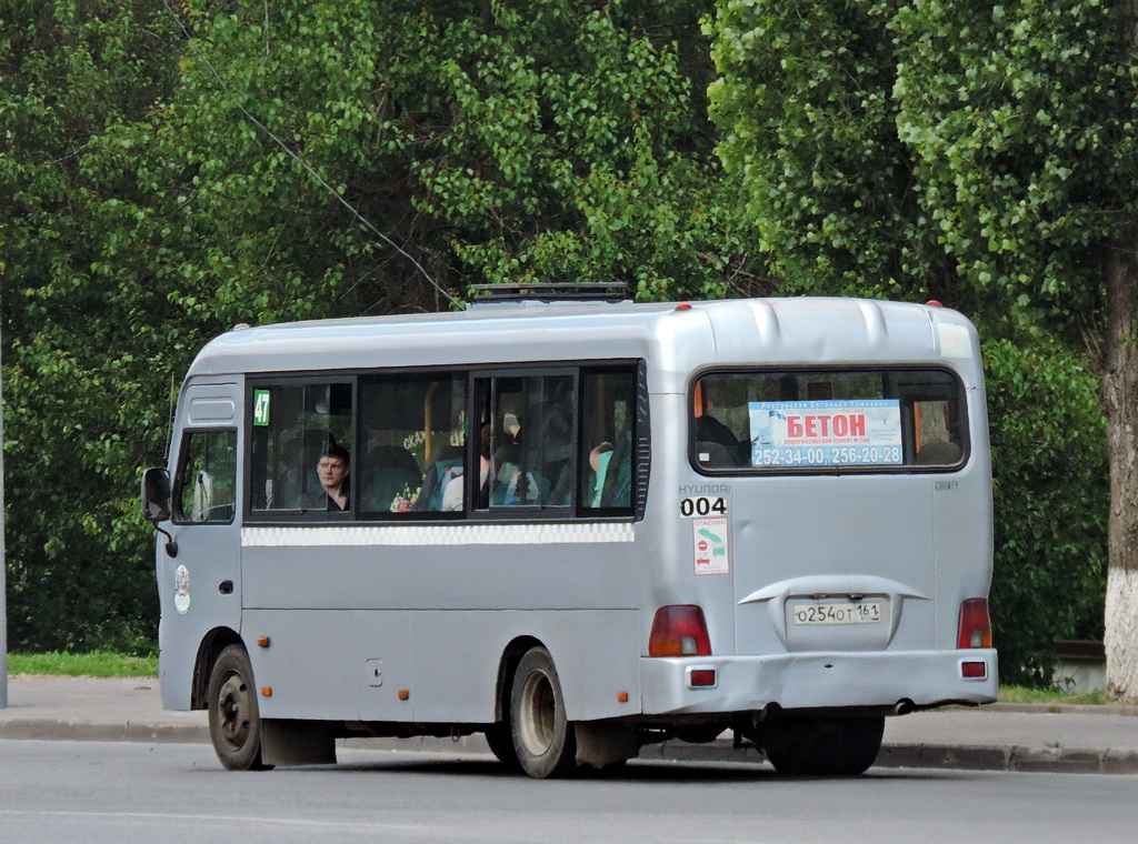 Ростовская область, Hyundai County LWB C11 (ТагАЗ) № 004