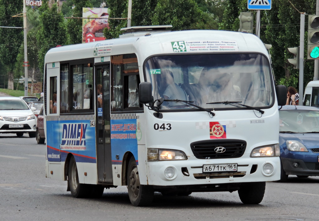 Ростовская область, Hyundai County SWB C08 (ТагАЗ) № 043