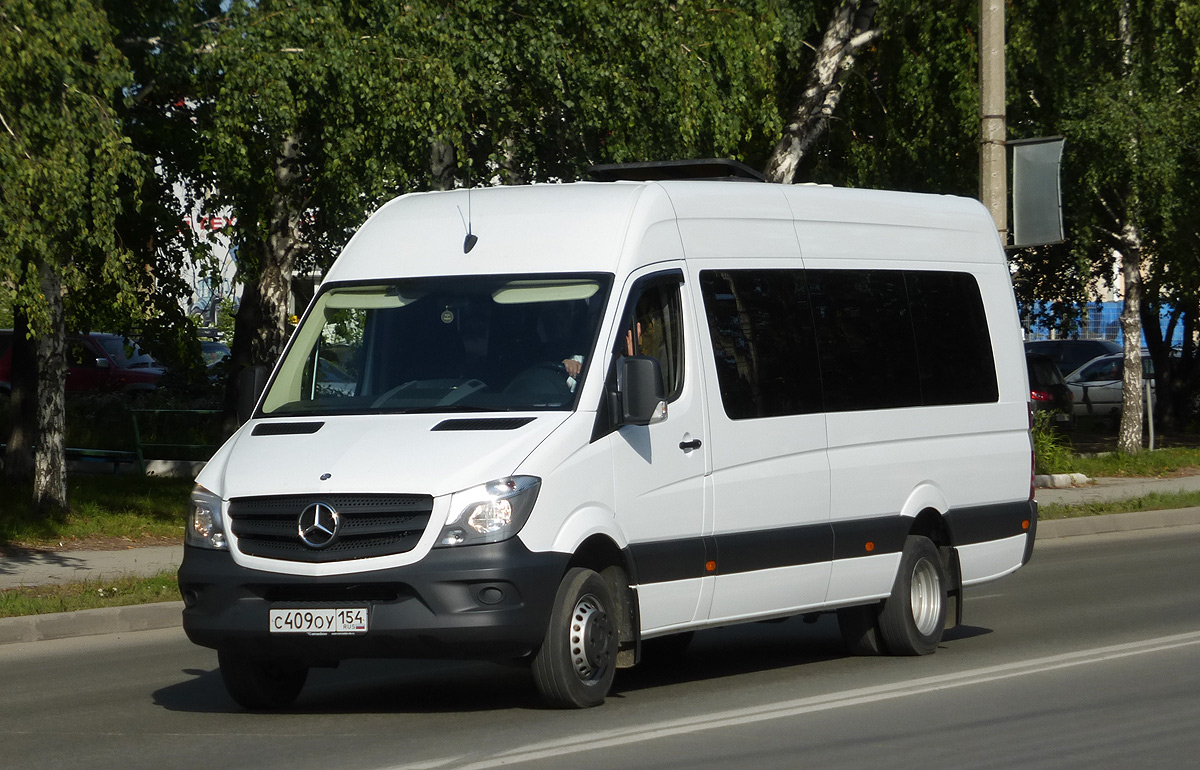 Новосибирская область, Луидор-22360C (MB Sprinter) № С 409 ОУ 154