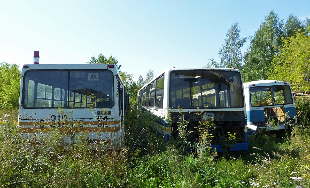 Новосибирская область, ЛиАЗ-5256.00 № С 312 ВВ 54; Новосибирская область, Ikarus 250.95 № А 847 РР 54; Новосибирская область, ПАЗ-3205 (00) № А 608 НУ 54; Новосибирская область — Разные фотографии