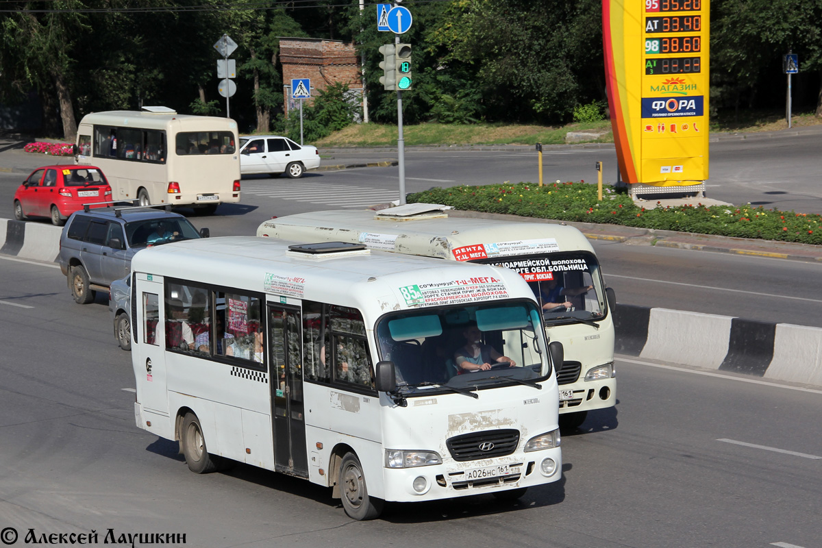 Ростовская область, Hyundai County LWB C09 (ТагАЗ) № 046