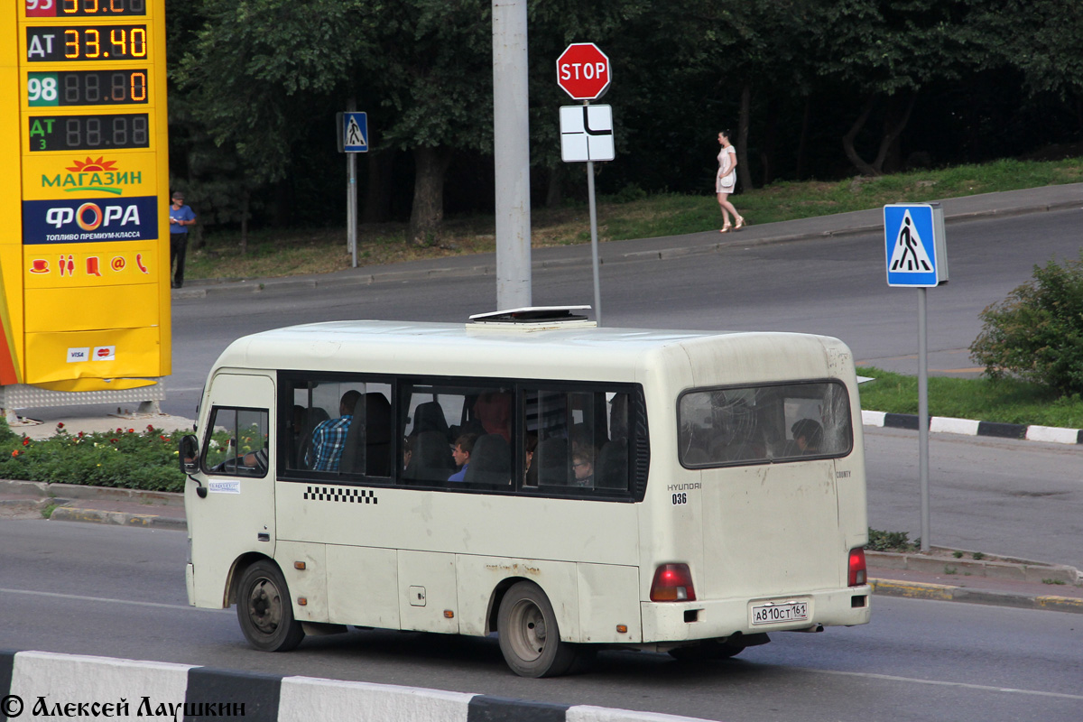 Ростовская область, Hyundai County SWB C08 (РЗГА) № 036