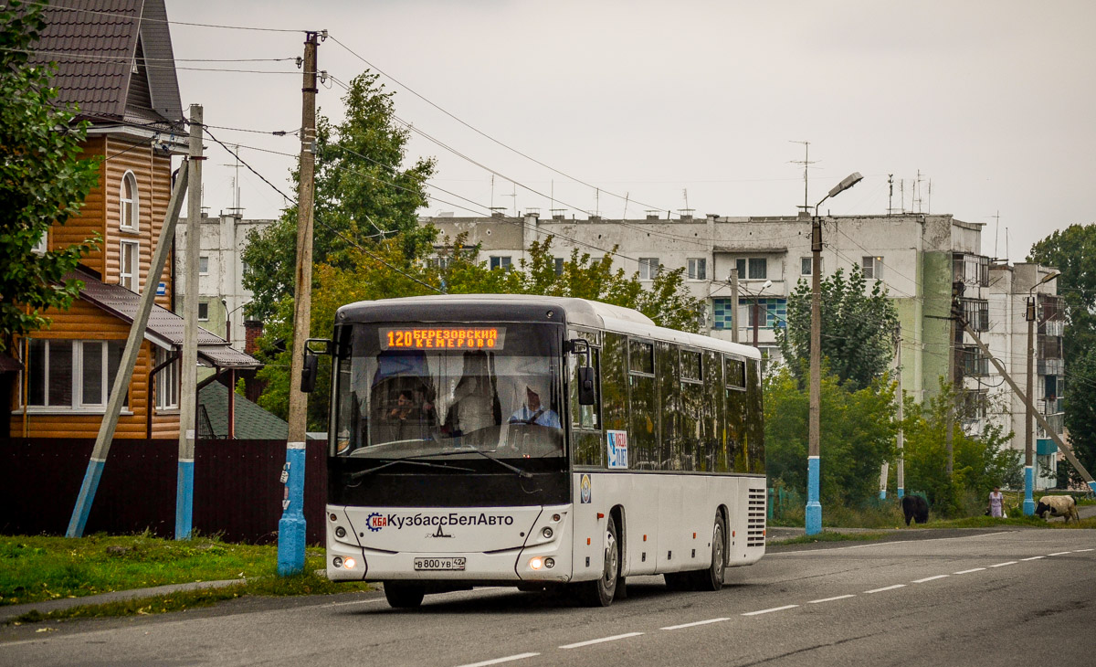 Кемеровская область - Кузбасс, МАЗ-231.062 № 52