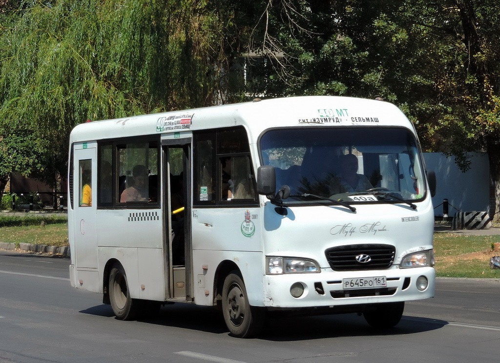 Ростовская область, Hyundai County SWB C08 (ТагАЗ) № 002275