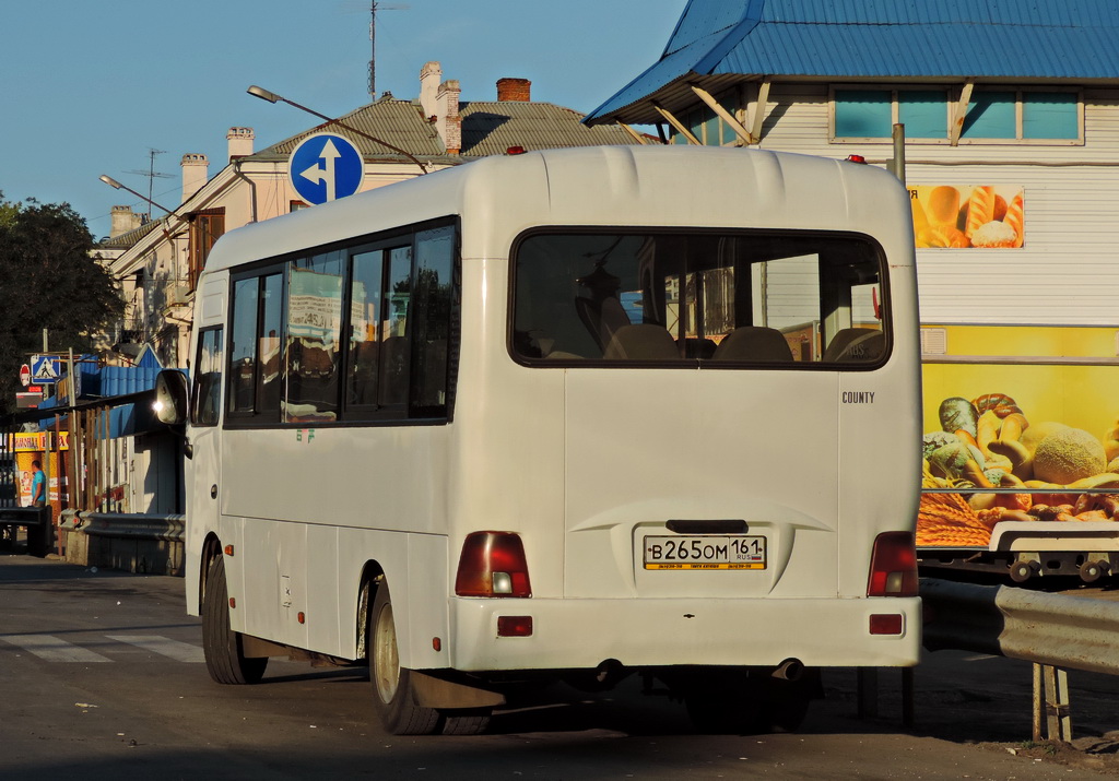 Ростовская область, Hyundai County LWB (ТагАЗ) № В 240 ОМ 161