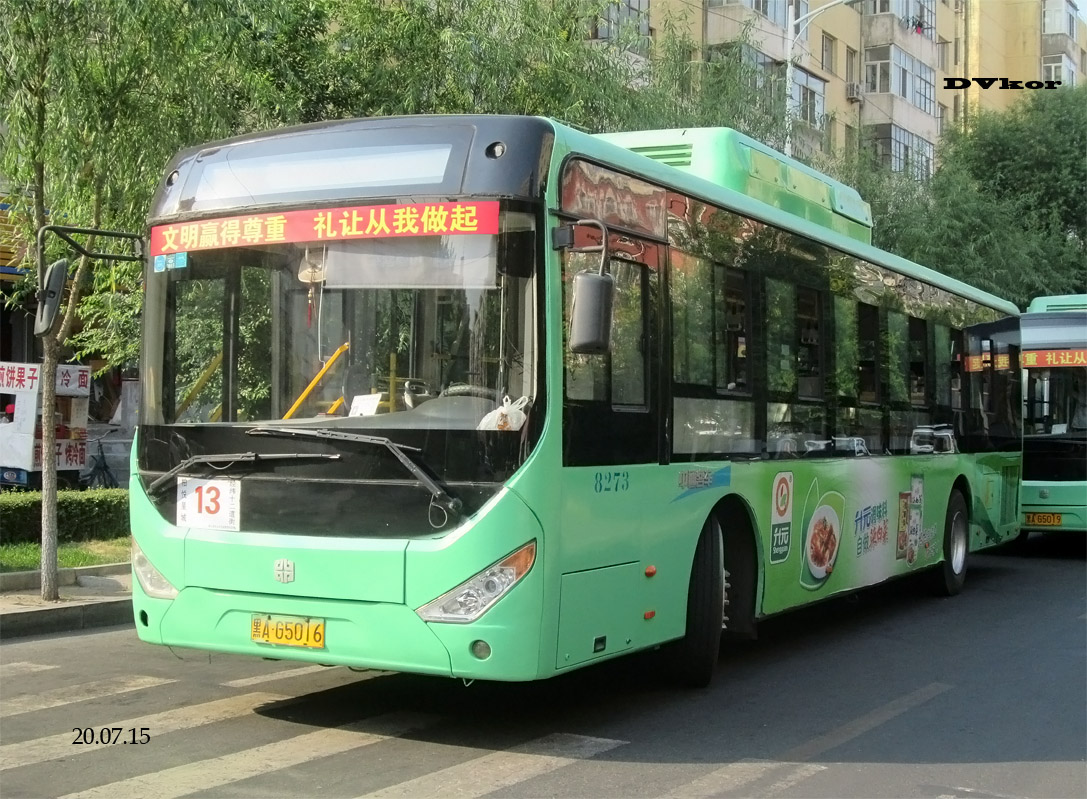 Китай, Zhong Tong LCK6125HGC № 8273