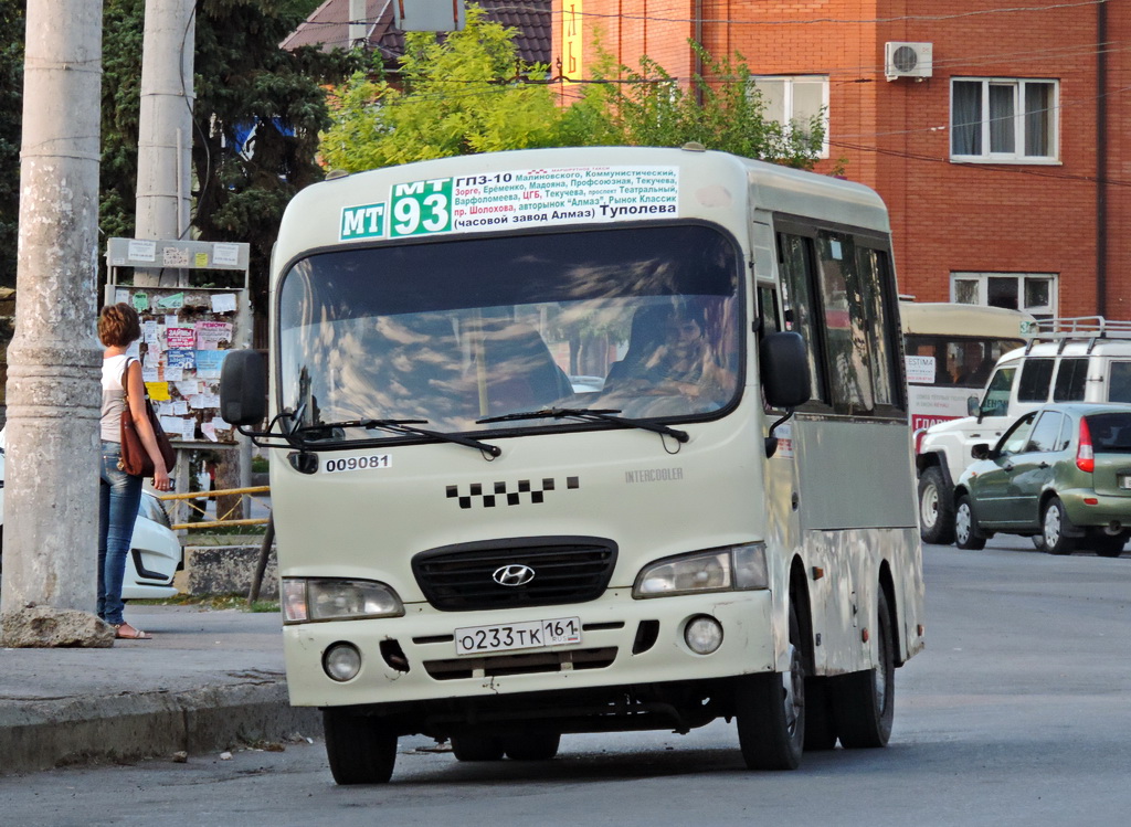 Ростовская область, Hyundai County SWB C08 (РЗГА) № 009081