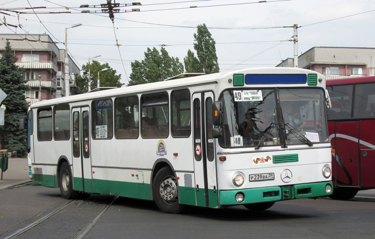 Kaliningrad region, Mercedes-Benz O307 Nr. Р 239 ВА 39