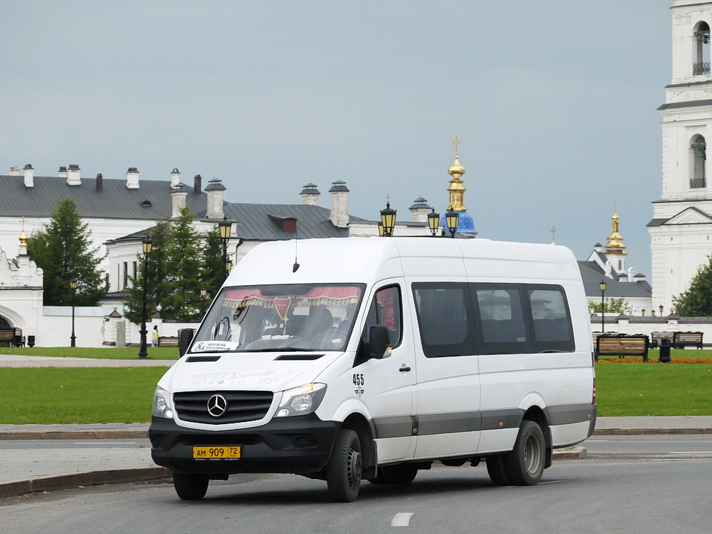 Тюменская область, Луидор-223690 (MB Sprinter) № 455