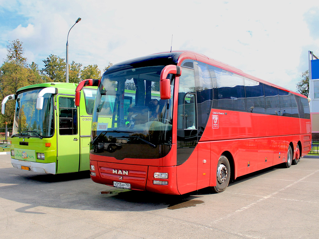 Московская область, MAN R08 Lion's Coach L RHC444 L № Х 313 АР 750