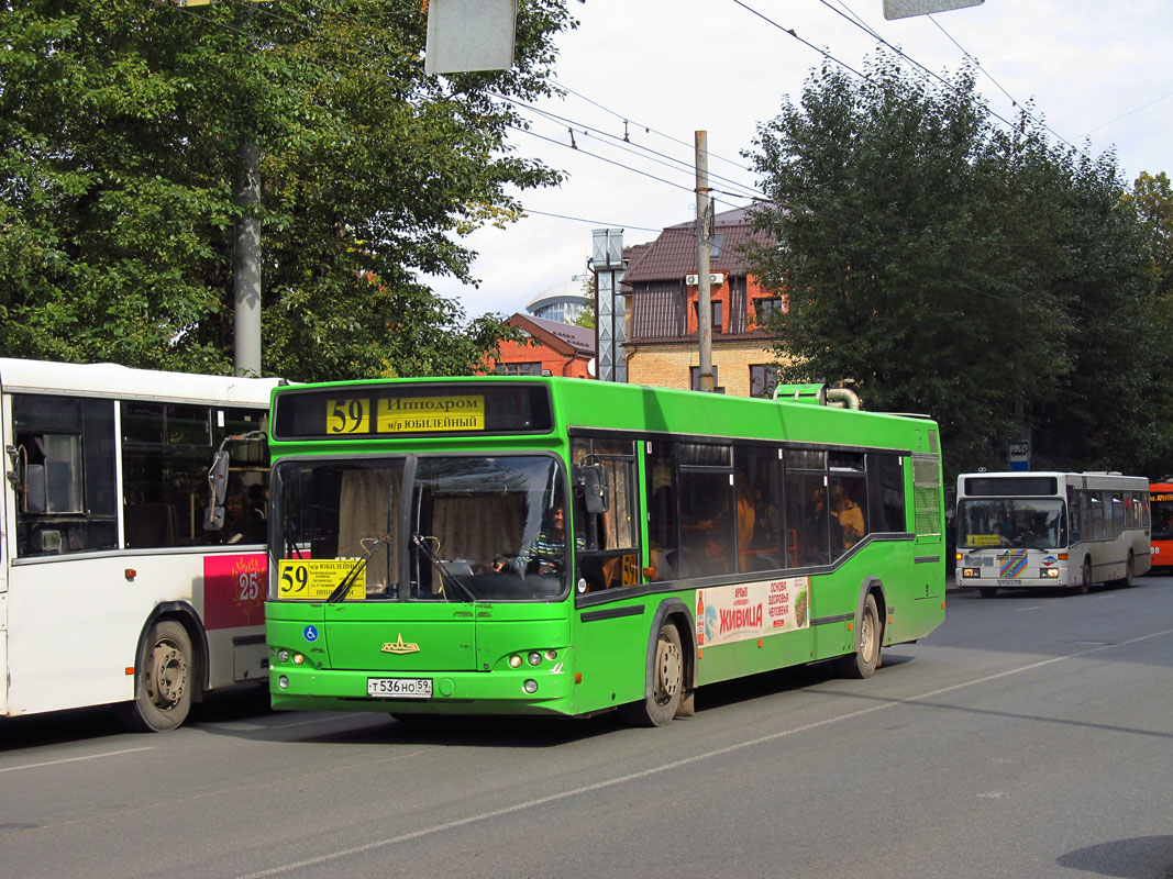 Пермский край, МАЗ-103.476 № Т 536 НО 59