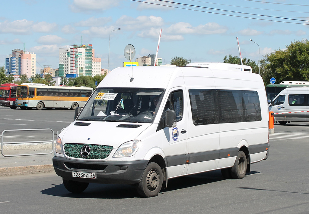 Челябинская область, Луидор-223602 (MB Sprinter) № А 233 СХ 174