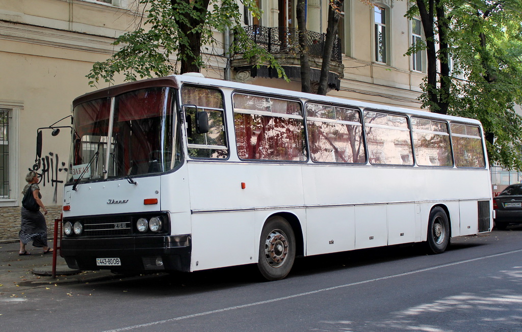 Одесская область, Ikarus 256.54 № 443-80 ОВ