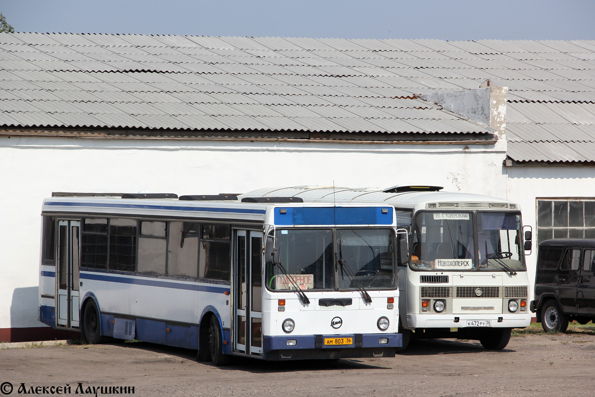 Воронежская область, ЛиАЗ-5256.30-01 № АМ 803 36