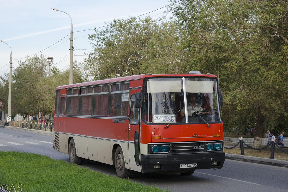 Волгоградская область, Ikarus 256.74 № А 591 АС 134