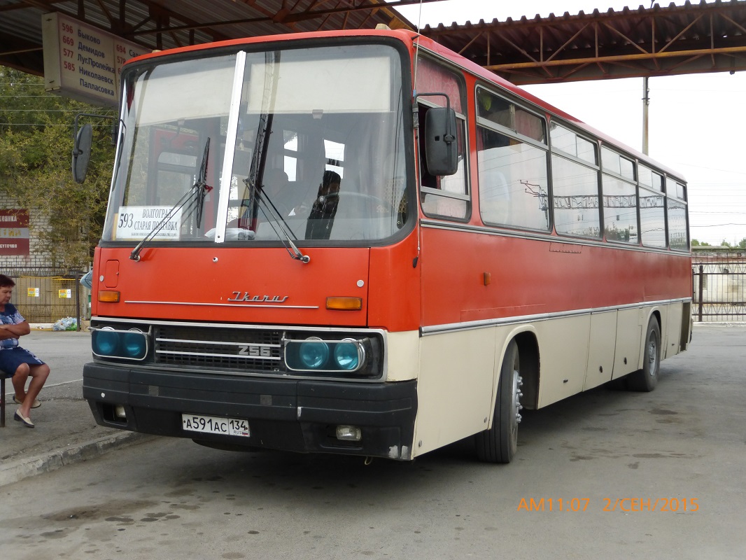 Волгоградская область, Ikarus 256.74 № А 591 АС 134