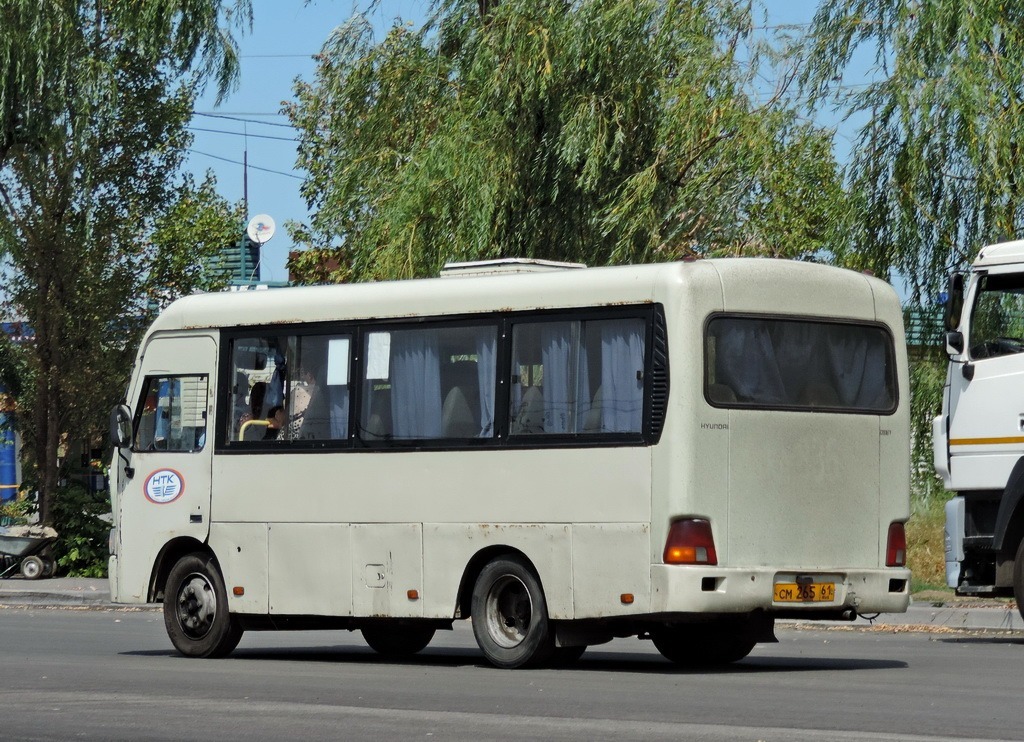 Ростовская область, Hyundai County SWB C08 (РЗГА) № 801