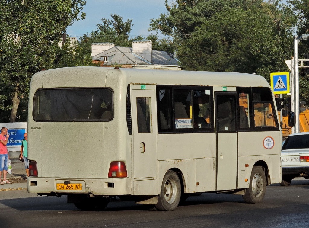 Ростовская область, Hyundai County SWB C08 (РЗГА) № 801