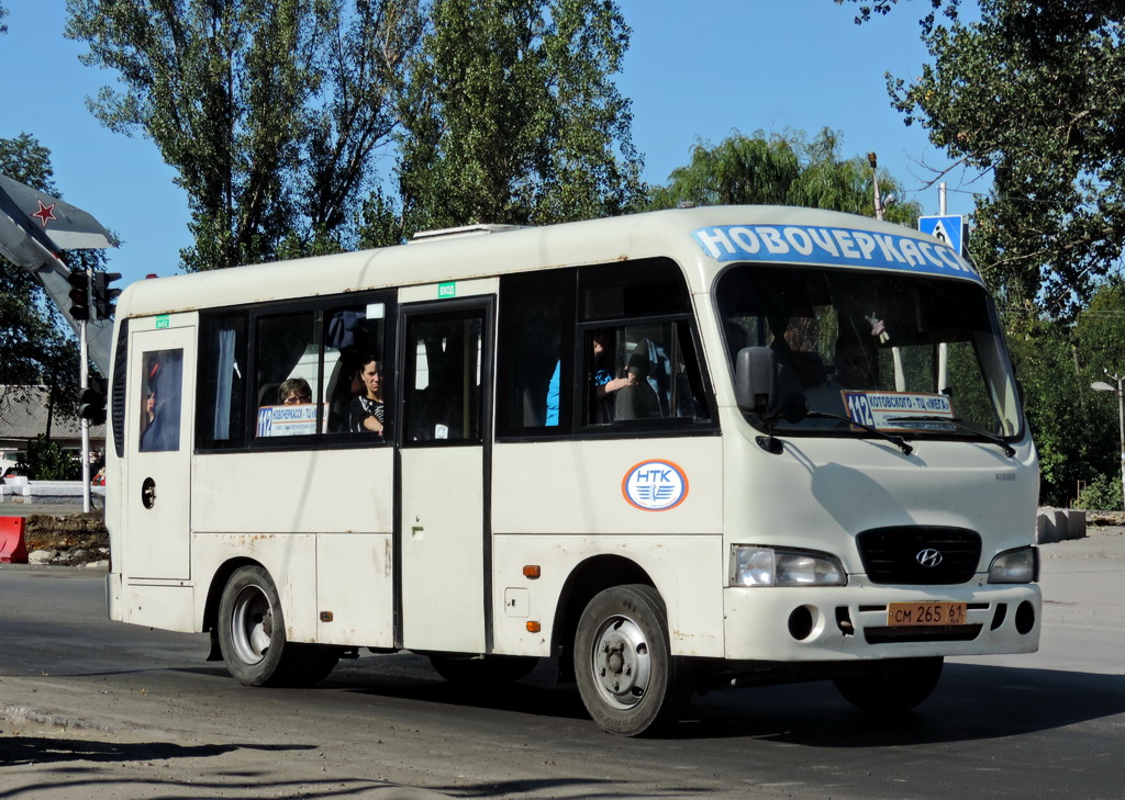 Ростовская область, Hyundai County SWB C08 (РЗГА) № 801