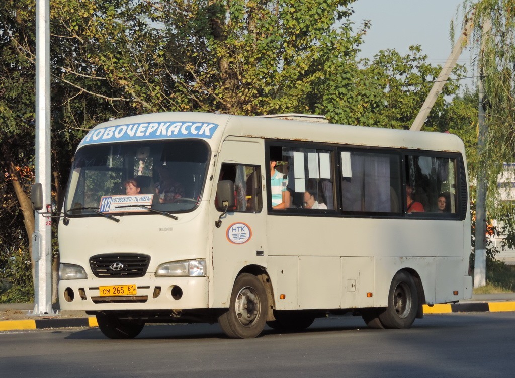 Ростовская область, Hyundai County SWB C08 (РЗГА) № 801