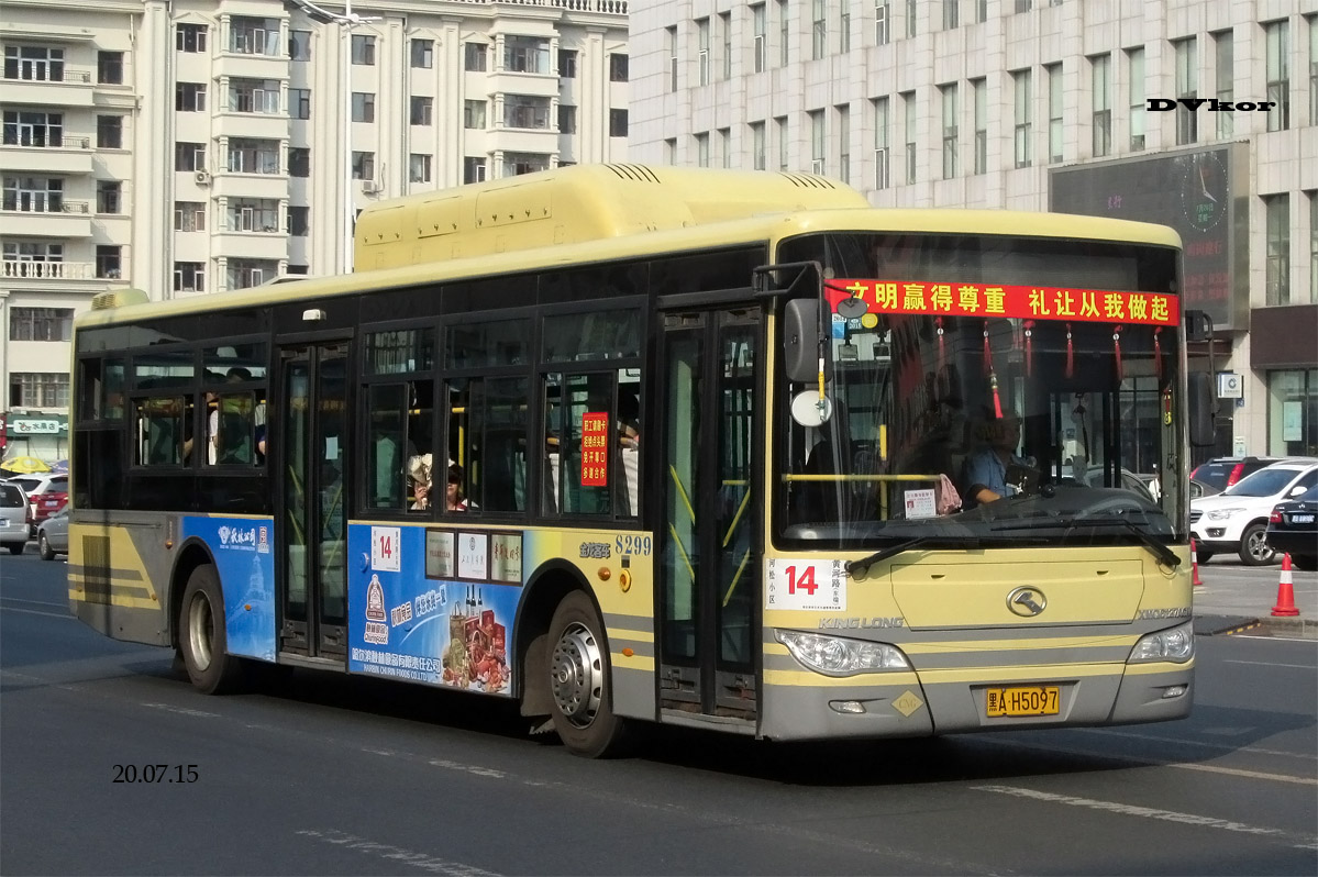 Китай, King Long XMQ6127AGN4 № 8299