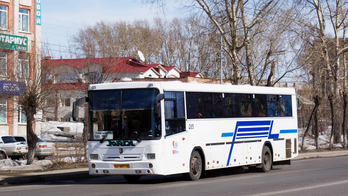 Kemerovo region - Kuzbass, NefAZ-5299-10-17 № 285