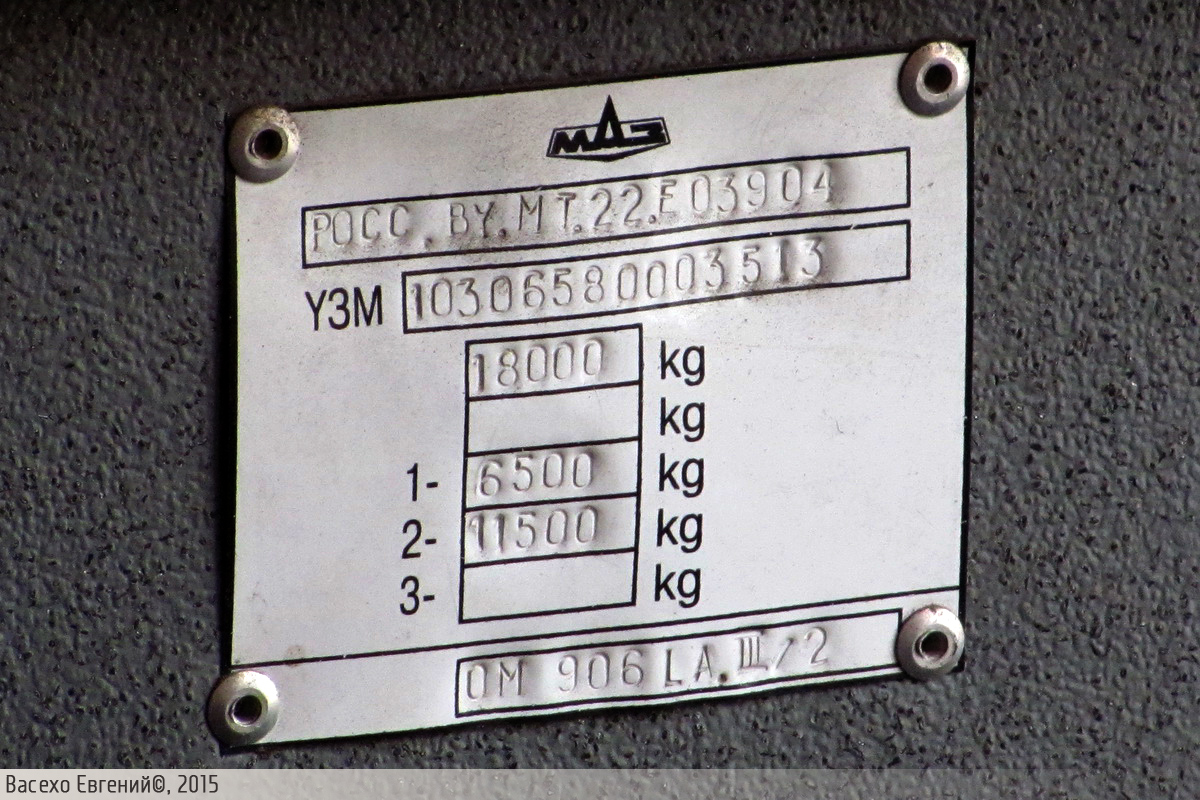 Витебская область, МАЗ-103.065 № 083704