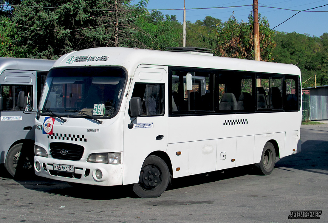 Ростовская область, Hyundai County LWB C11 (ТагАЗ) № 005229