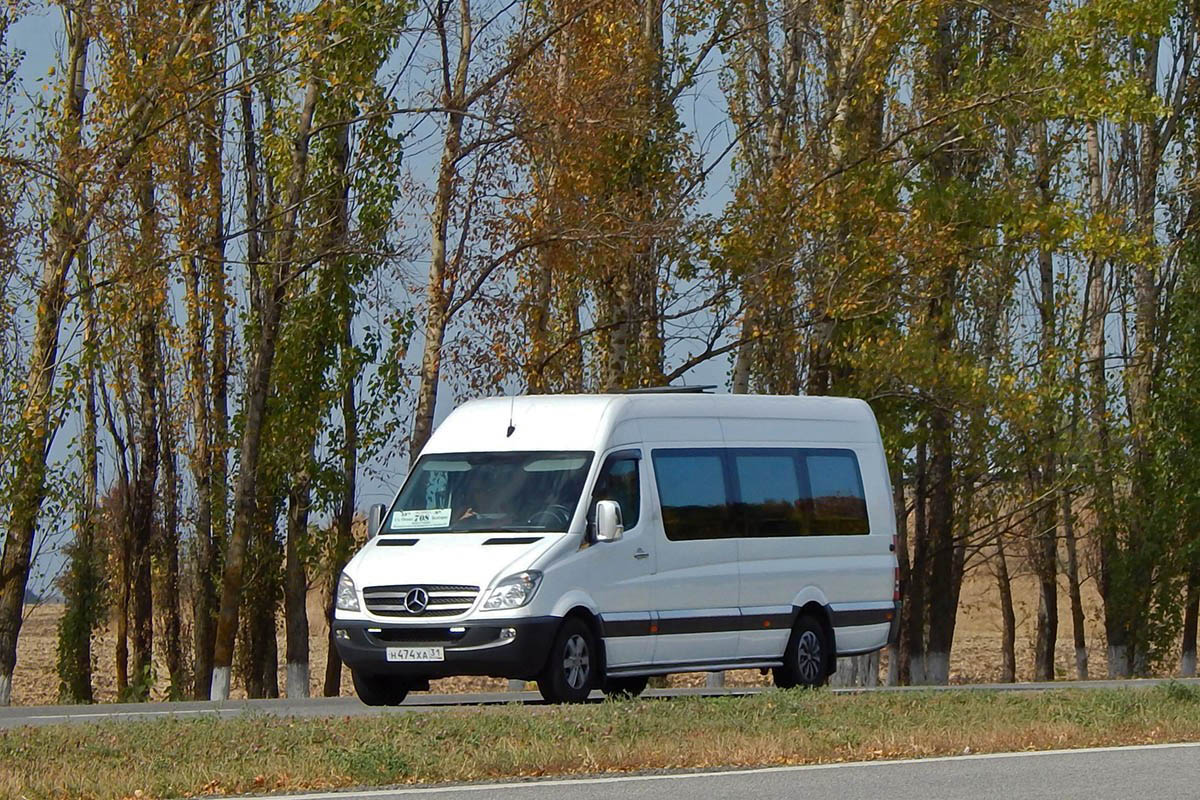 Белгородская область, Mercedes-Benz Sprinter W906 316CDI № Н 474 ХА 31