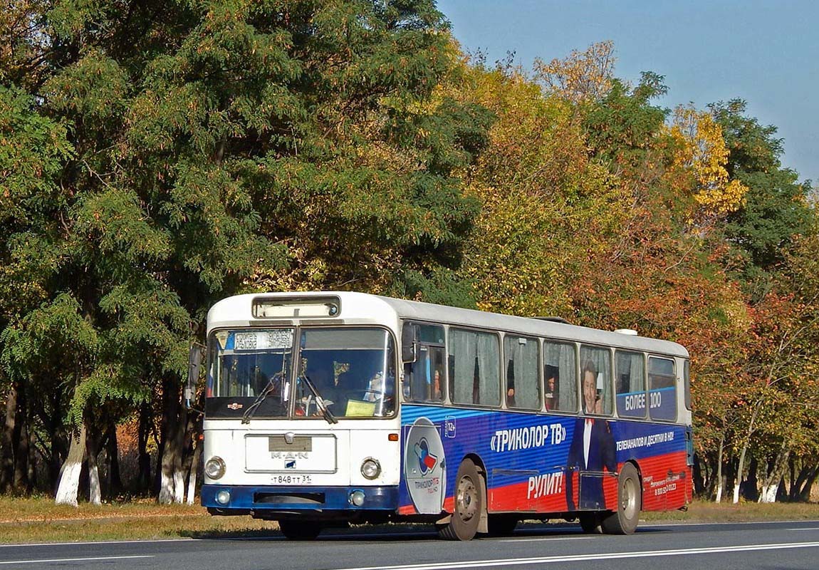 Белгородская область, MAN 193 SÜ240 № Т 848 ТТ 31 — Фото — Автобусный  транспорт