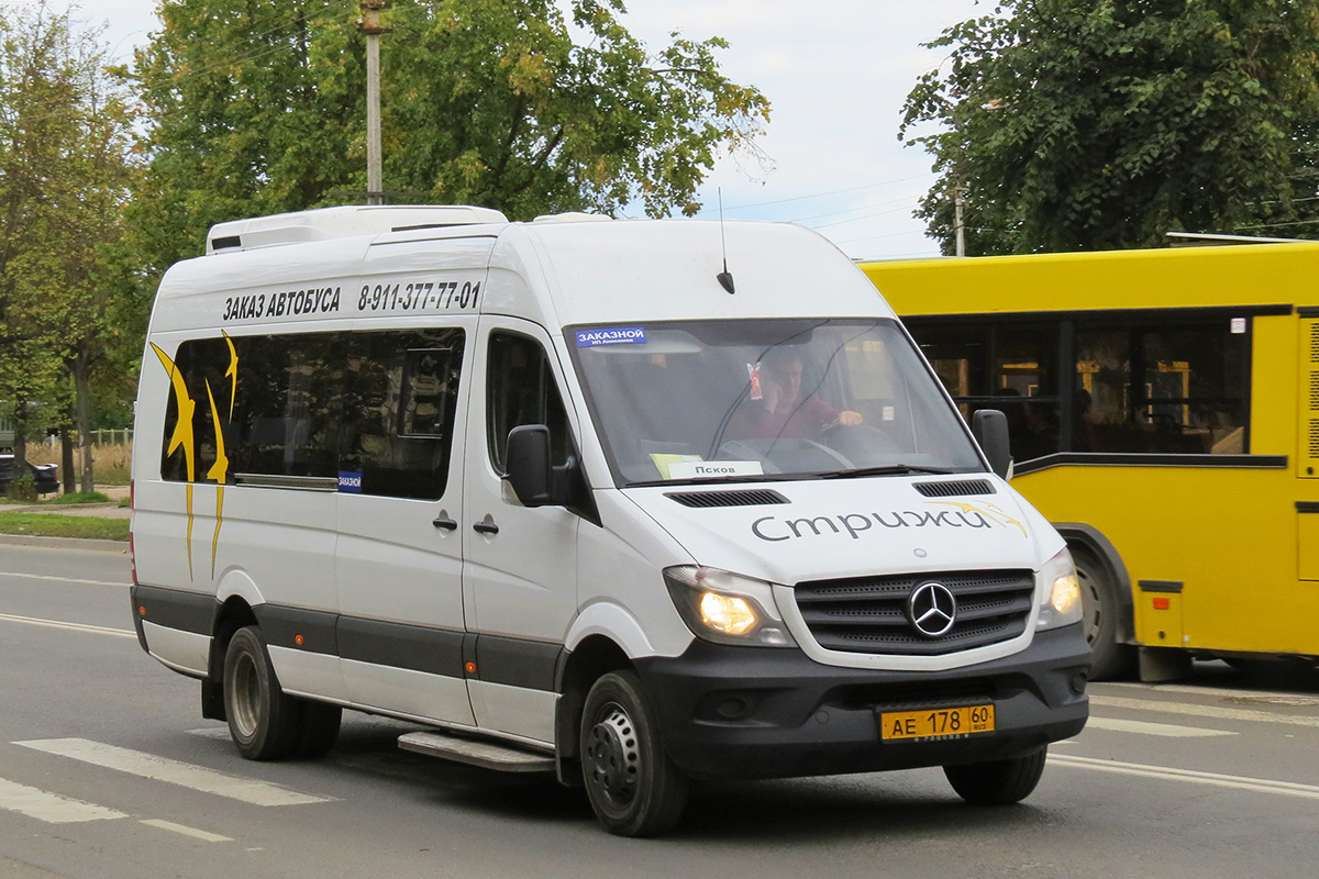 Псковская область, Луидор-223602 (MB Sprinter) № АЕ 178 60