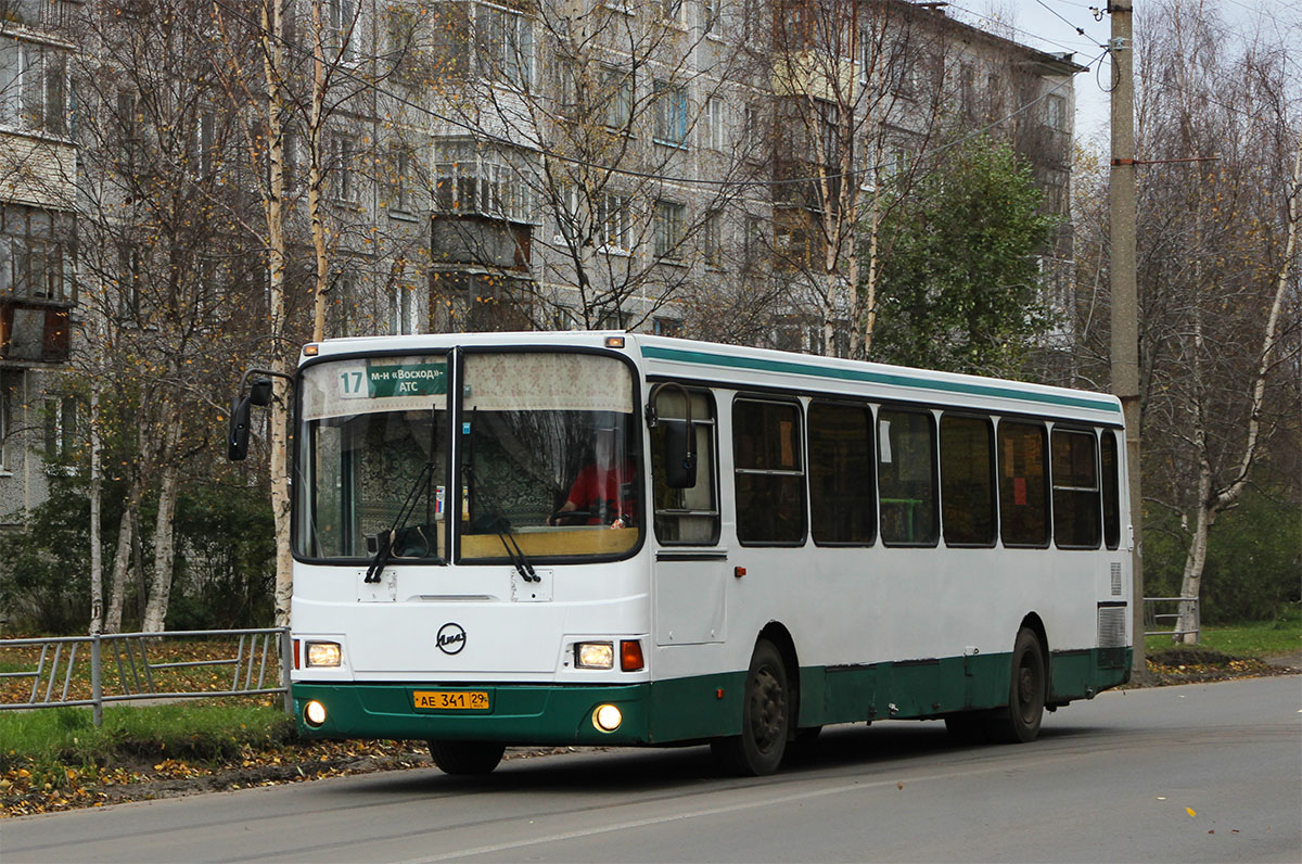 Архангельская область, ЛиАЗ-5256.25 № АЕ 341 29