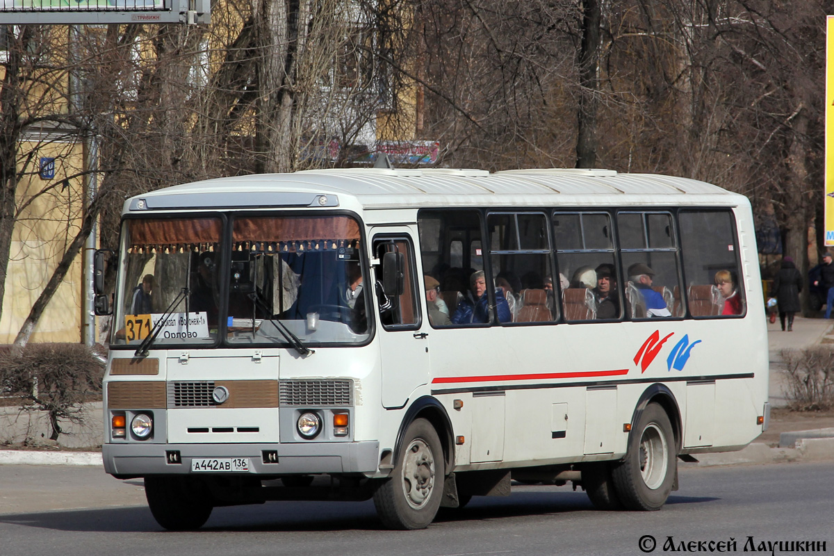 Воронежская область, ПАЗ-4234-05 № А 442 АВ 136