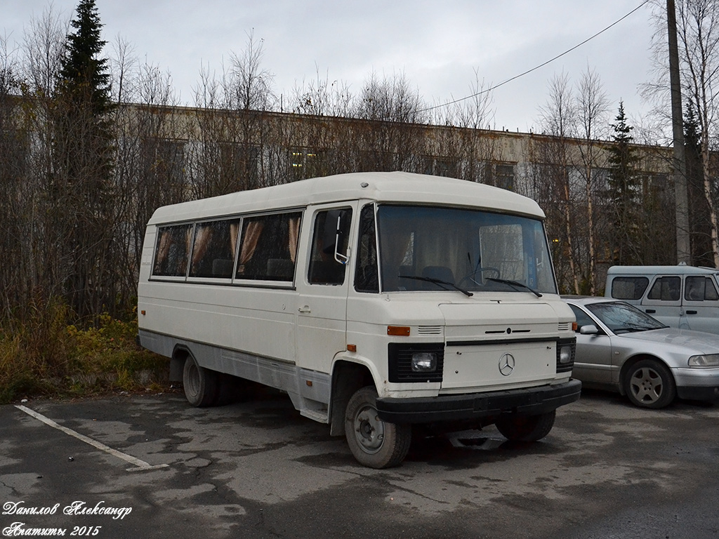 Мурманская область, Mercedes-Benz Vario 613D № У  294 МХ 51