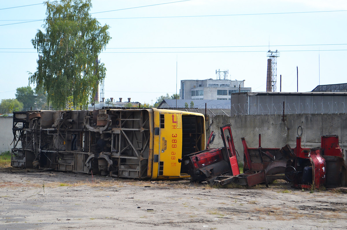 Брянская область, Ikarus 260.50 № 358; Брянская область, ПАЗ-3205 (00) № 160