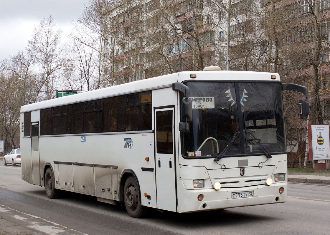 Kemerovo region - Kuzbass, NefAZ-5299-10-17 № 238