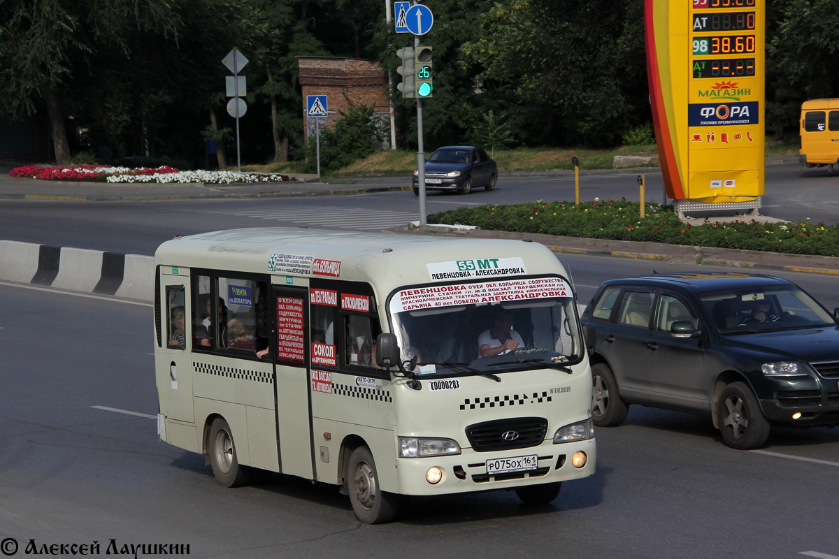 Ростовская область, Hyundai County SWB C08 (РЗГА) № 00028