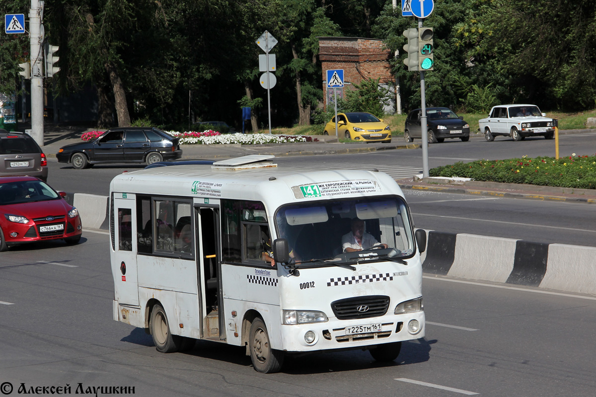 Ростовская область, Hyundai County SWB C08 (ТагАЗ) № 0012