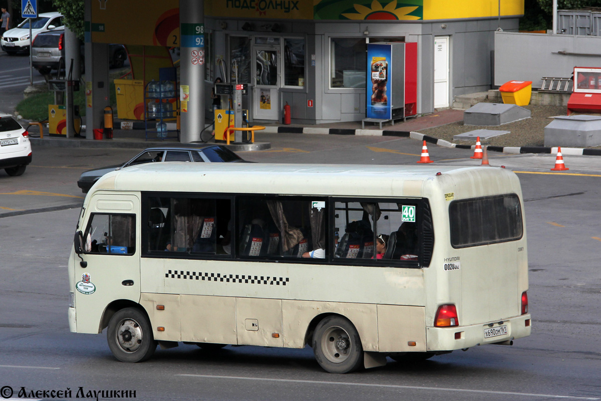 Ростовская область, Hyundai County SWB C08 (РЗГА) № 02032