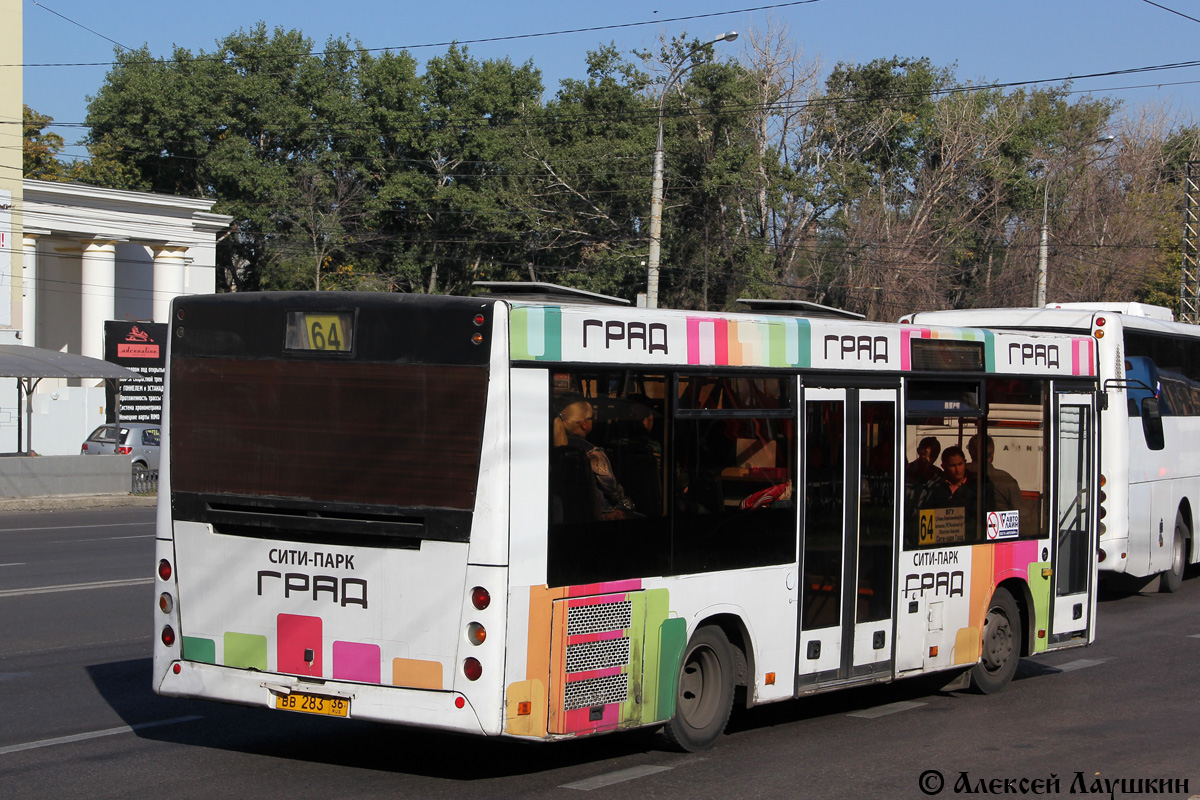 Voronezh region, MAZ-206.060 № ВВ 283 36