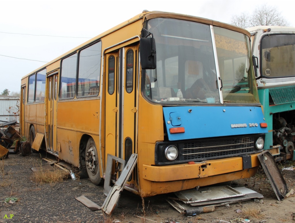 Тамбовская область, Ikarus 260.02 № АВ 196 68