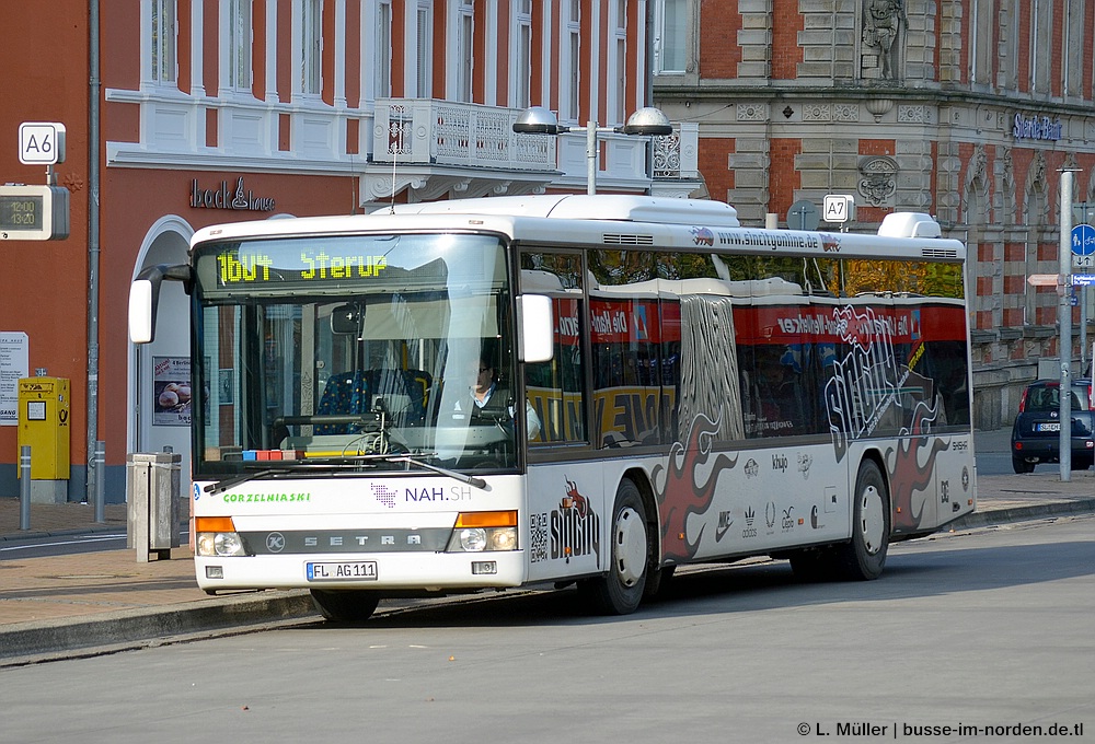 Шлезвиг-Гольштейн, Setra S315NF № FL-AG 111