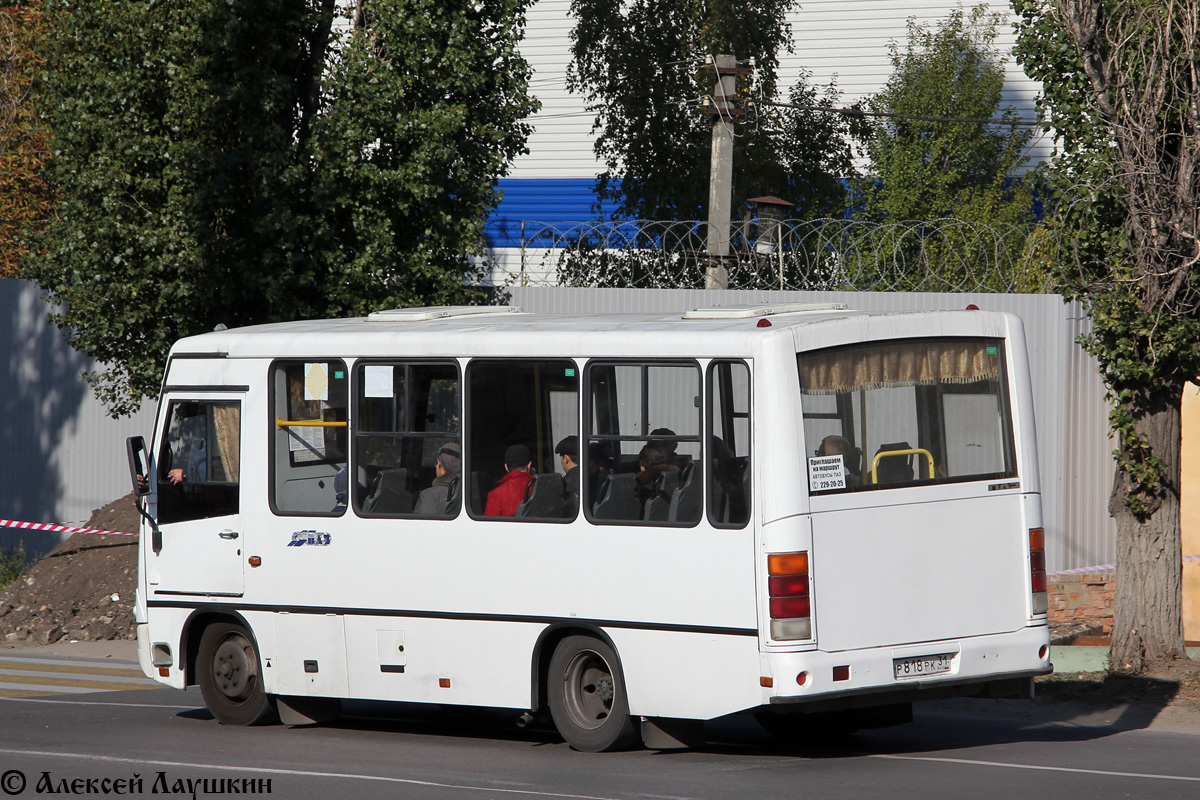 Воронежская область, ПАЗ-320302-08 № Р 818 РК 31