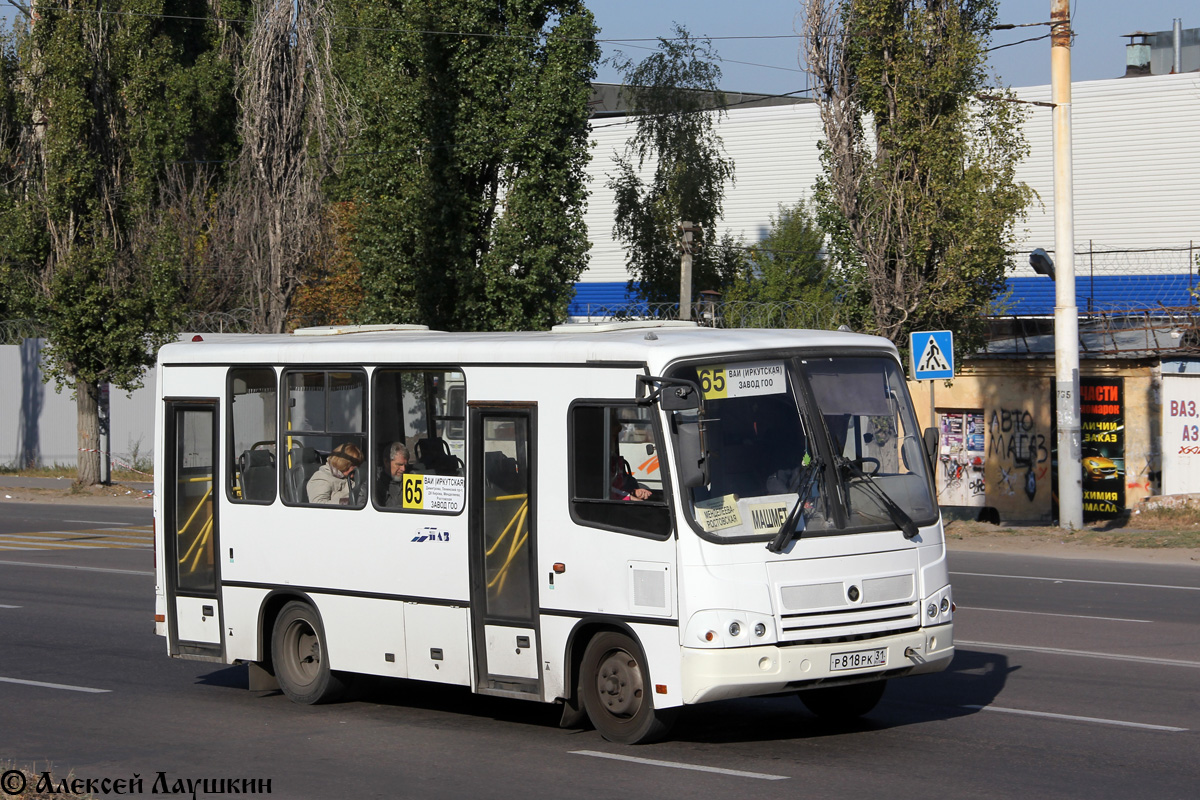 Воронежская область, ПАЗ-320302-08 № Р 818 РК 31